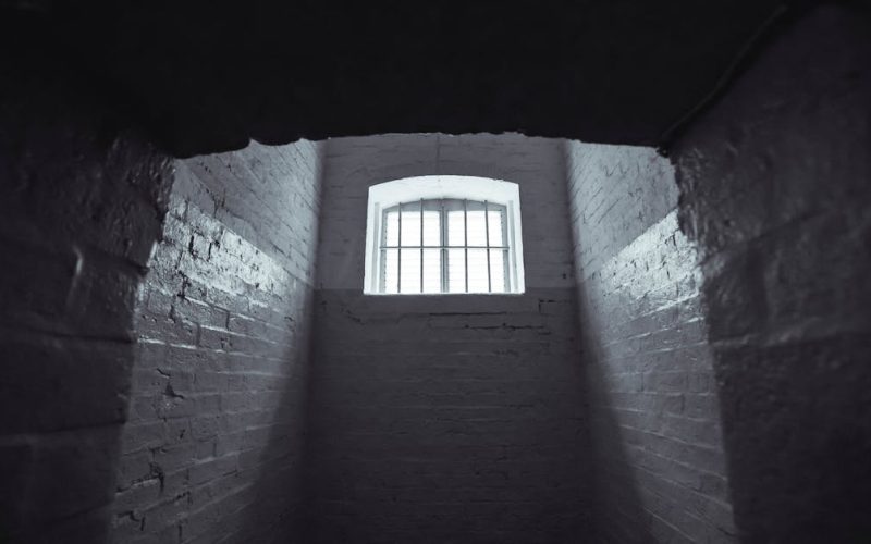 Testimonios de Excarcelados Venezolanos: La Verdad de sus Días Tras las Rejas